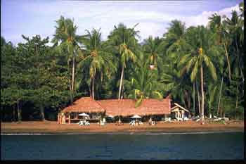 tropical vacation resort